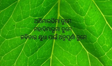 ଜାଳିଦିଅ : ଉଭେଇଯାଅ