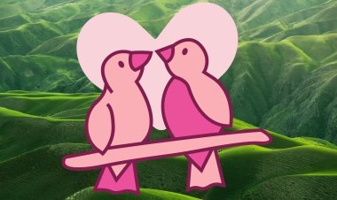 କାପ୍ତାକାପ୍ତି