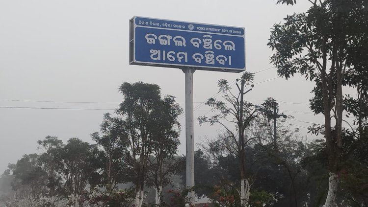 ଜଙ୍ଗଲ ବଞ୍ଚିଲେ ଆମେ ବଞ୍ଚିବା