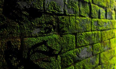 ପ୍ରିୟ ବାପୁଜି !