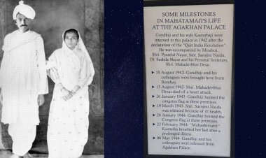 ଛ' ପଟ ଲାଲ ଶଙ୍ଖା