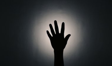 ଡାକୁଚି ସେ ଯେ ଡାକୁଚି