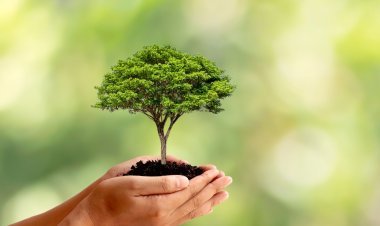 ଥିକ୍ ନିହାଟ ହାକ୍ : ସର୍ବଶ୍ରେଷ୍ଠ ପ୍ରାର୍ଥନା