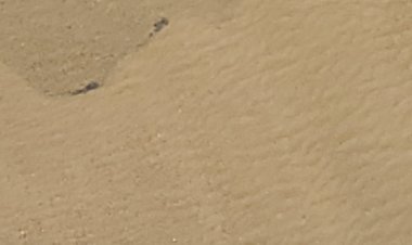 ମରୁଛି ମହାନଦୀ