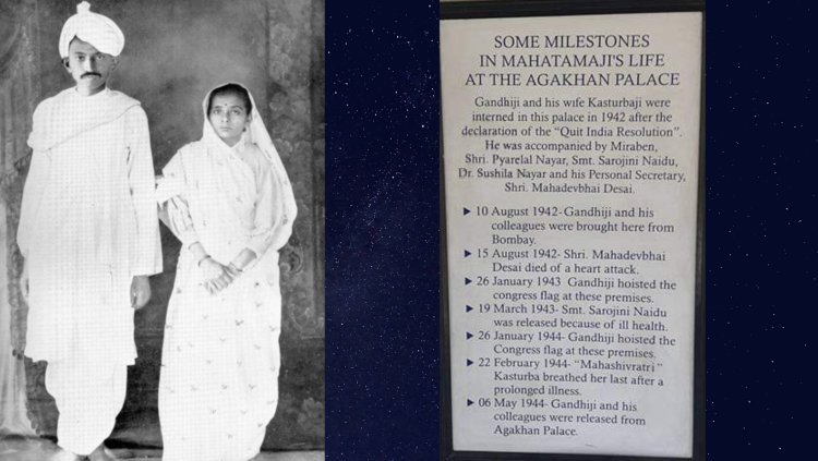 ଛ' ପଟ ଲାଲ ଶଙ୍ଖା