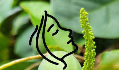 ବିଶ୍ୱାସ