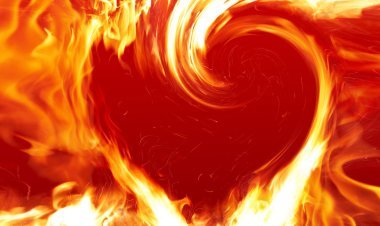 ନିଆଁଫୁଲ