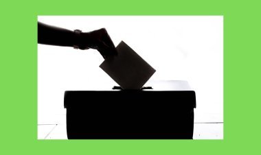 ନନ୍ଦିନୀ, ବିଶ୍ବାମିତ୍ର ଓ ଗଣତନ୍ତ୍ର