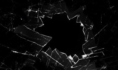 ପୁନର୍ଜନ୍ମ 