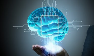 ସୋସିଆଲ ମିଡିଆ : ଘୃଣା ଓ ହିଂସାର ରାଜନୈତିକ ବଜାର