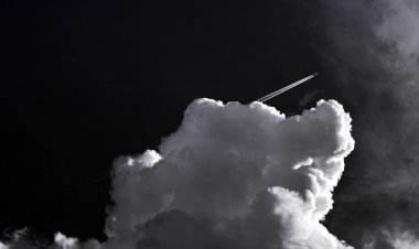 ବିନ୍ୟାସ