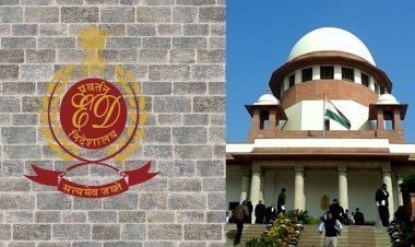 ଆଇନର ବେଆଇନ ସୁରକ୍ଷାକର୍ତ୍ତା