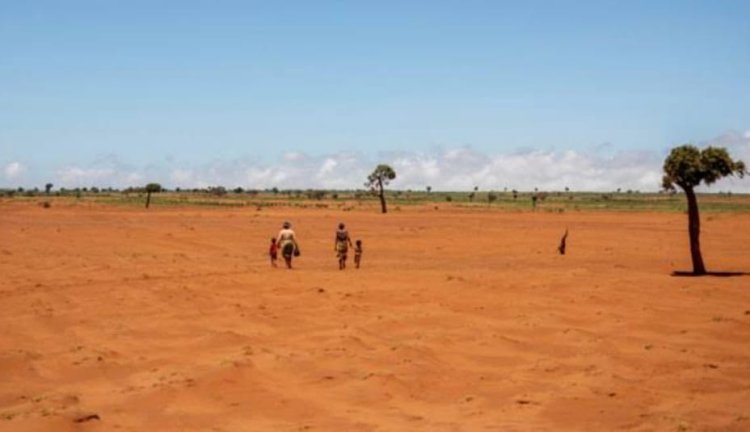 ଜଙ୍ଗଲ ବଞ୍ଚିଲେ ଆମେ ବଞ୍ଚିବା -୨