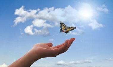 ସ୍ୱାଧୀନତା