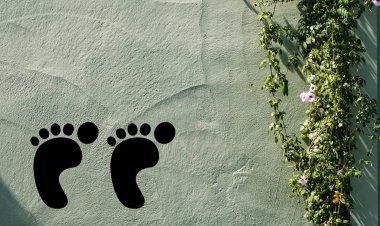 ପାଦ ଆଉ ପୃଥିବୀ