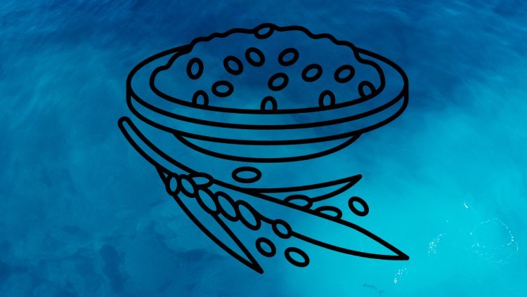 ଭାତ ଥାଳି