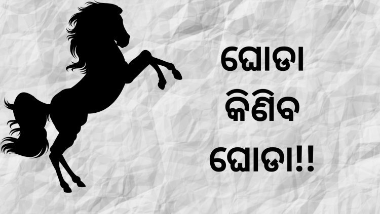 ବିକ୍ରି ହେଉଥିବା ଘୋଡ଼ା ଓ ଭାରତର ଗଣତନ୍ତ୍ର