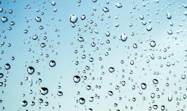 ଶବ୍ଦାଂଜଳି ବୃଷ୍ଟି