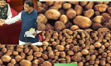 ମୋହନ ସରକାରଙ୍କ ଆଳୁ ଦଶା