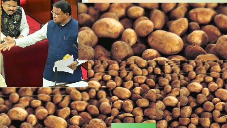 ମୋହନ ସରକାରଙ୍କ ଆଳୁ ଦଶା