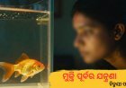 ମୁକ୍ତି ପୂର୍ବର ଯନ୍ତ୍ରଣା