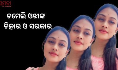 ଚମେଲି ଓଝାଙ୍କ ଚିତ୍କାର ଓ ସରକାର